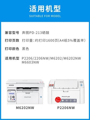奔图m6202nw更换芯片 清零,打印机三角形灯闪烁怎么办?